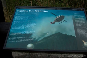 Information about the decades previous fires.